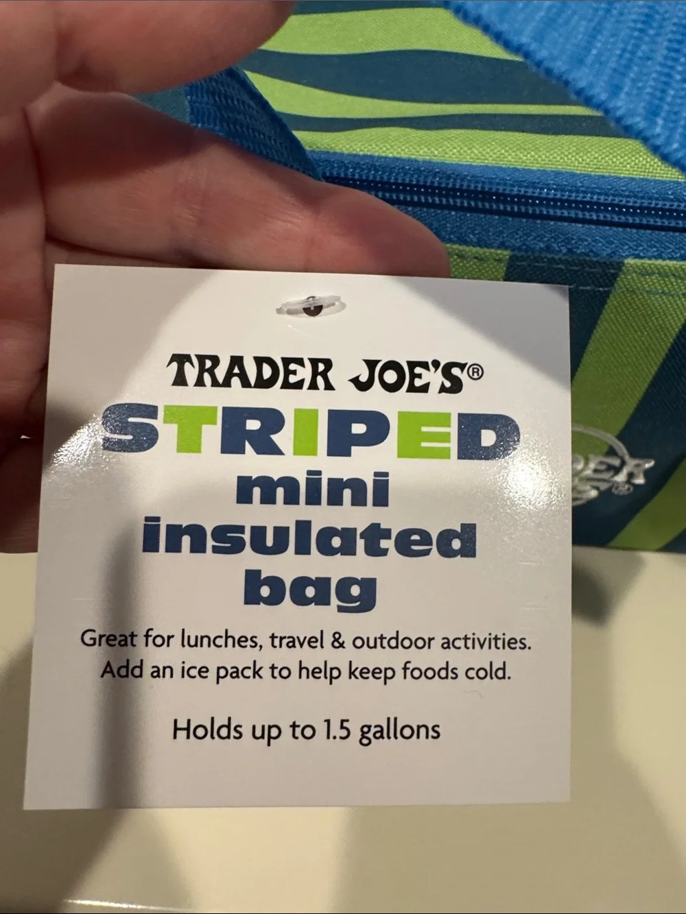 Trader Joe's Green & Blue Striped Insulated Lunch Bag